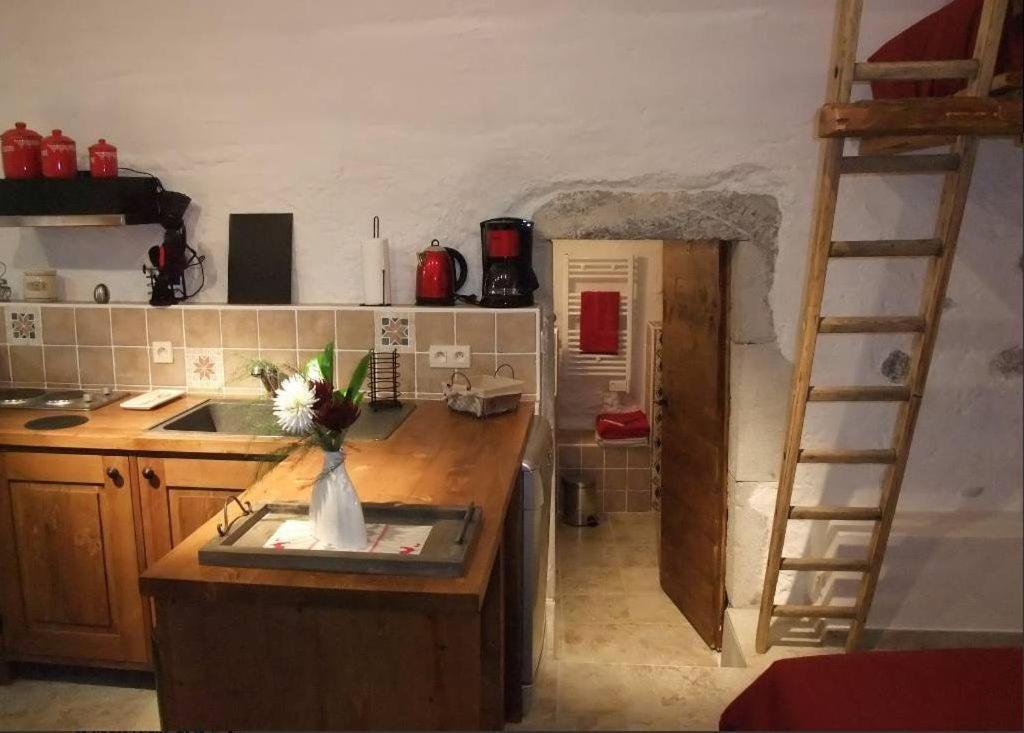 Le Domaine Du Grand Cellier Gites Appartement En Savoie Tournon-sur-Rhône المظهر الخارجي الصورة